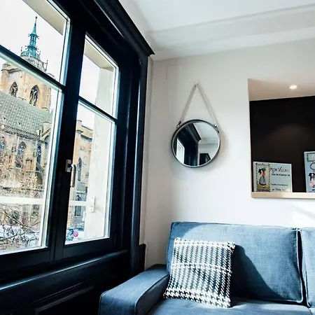 - Bm Hans - Modern And Cosy Apt With Cathedral View Apartment Colmar